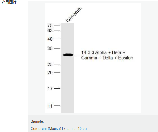 6051b22543844.png image.png