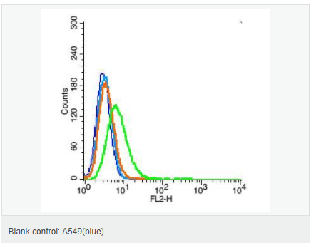 605835c9cbd89.png image.png