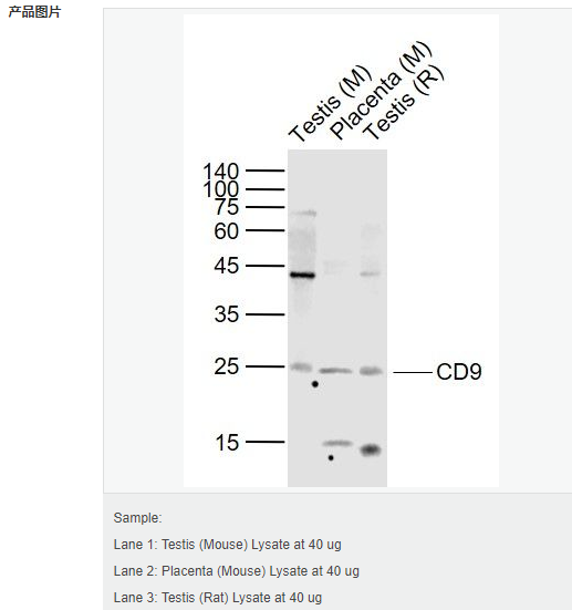 60612f9feae50.png image.png