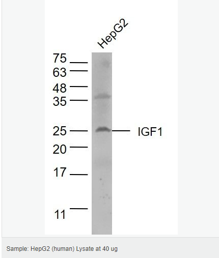 606147d723657.png image.png