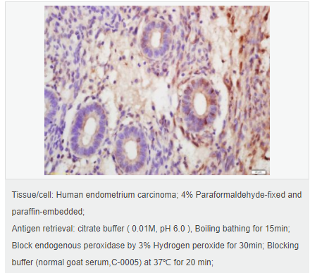 6063cf55f29e7.png image.png