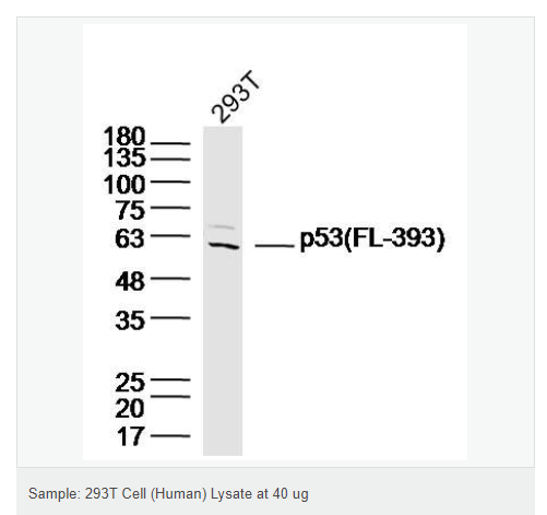 6066bc52e0e90.png image.png
